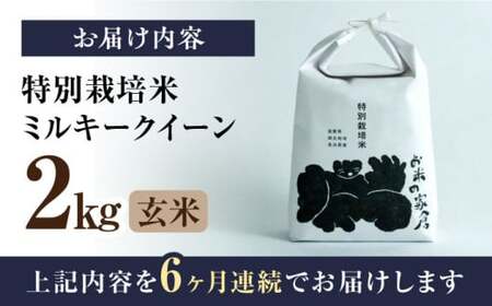 令和8年産 新米 【全6回】ミルキークイーン 2kg 玄米 特別栽培米 [AQCP023]