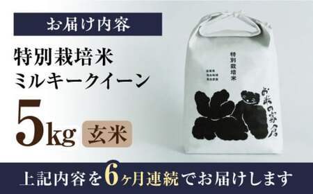 令和8年産 新米 【全6回】ミルキークイーン 5kg 玄米 特別栽培米 [AQCP025]