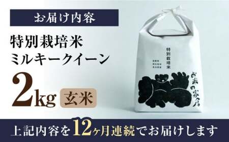 令和8年産 新米 【全12回】ミルキークイーン 2kg 玄米 特別栽培米 [AQCP027]