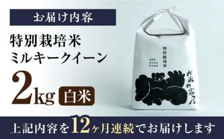 米 12回定期便ミルキークイーン 2kg 白米 新米 [AQCP028] 定期便