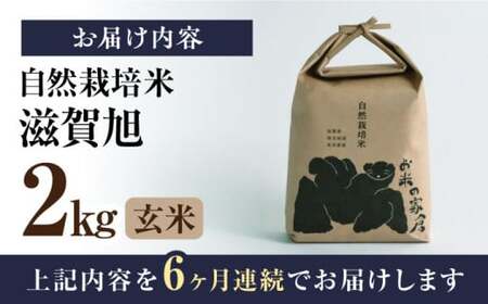 【先行予約】令和8年産 新米 6回定期 滋賀旭 2kg 玄米 [AQCP045]