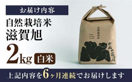 【先行予約】令和8年産 新米 6回定期 滋賀旭 2kg 白米 [AQCP046]