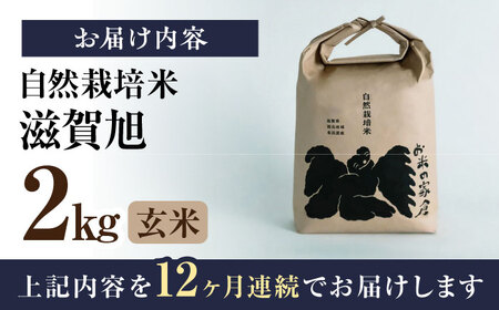 【先行予約】令和8年産 新米 12回定期 滋賀旭 2kg 玄米 [AQCP047]