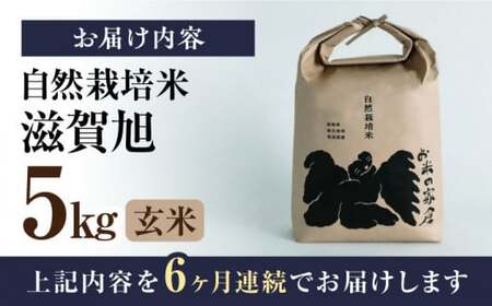 【先行予約】令和8年産 新米 6回定期 滋賀旭 5kg 玄米 [AQCP049]