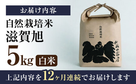 新米 【12回定期便】 先行予約 滋賀旭 5kg 新米 [AQCP052]