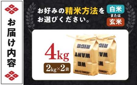 近江米 コシヒカリまるこ米4kg（2kg×2）[AQCZ002] コシヒカリ