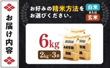近江米 コシヒカリまるこ米6kg（2kg×3）[AQCZ003] コシヒカリ