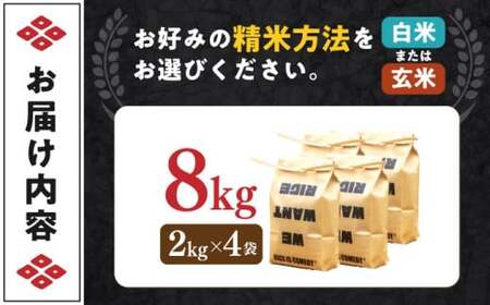 近江米 コシヒカリまるこ米8kg（2kg×4）[AQCZ004] コシヒカリ