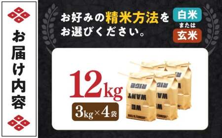 近江米 コシヒカリまるこ米12kg（3kg×4）[AQCZ005] コシヒカリ