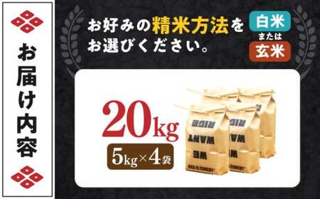 近江米 コシヒカリまるこ米20kg（5kg×4）[AQCZ006] コシヒカリ