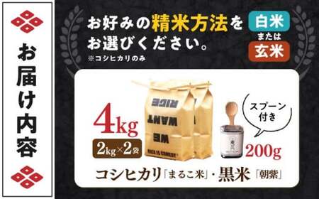 近江米 コシヒカリ2kg×２・黒米あさむらさき200gセット[AQCZ011] お米
