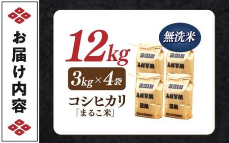 近江米 コシヒカリまるこ米12kg（3kg×4）無洗米 [AQCZ028] コシヒカリ