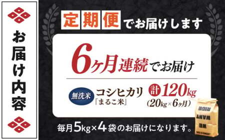 【全6回】近江米 コシヒカリまるこ米20kg（5kg×4）　無洗米 [AQCZ034] コシヒカリ