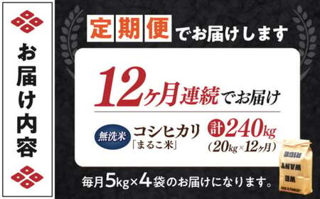 【全12回】近江米 コシヒカリまるこ米20kg（5kg×4）　無洗米 [AQCZ035] コシヒカリ