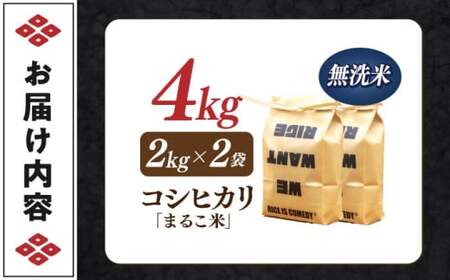 近江米 コシヒカリまるこ米4kg（2kg×2）無洗米 [AQCZ036][AQCZ036] コシヒカリ