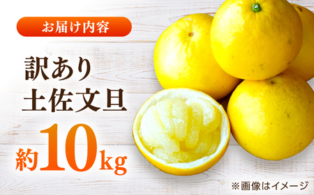 【先行予約】高知県産 訳あり 土佐文旦 約10kg 〈2027年1月下旬頃から発送〉 / 傷 シミ 訳アリ 【株式会社　四国健商】[ATAF038] 支援 支援品
