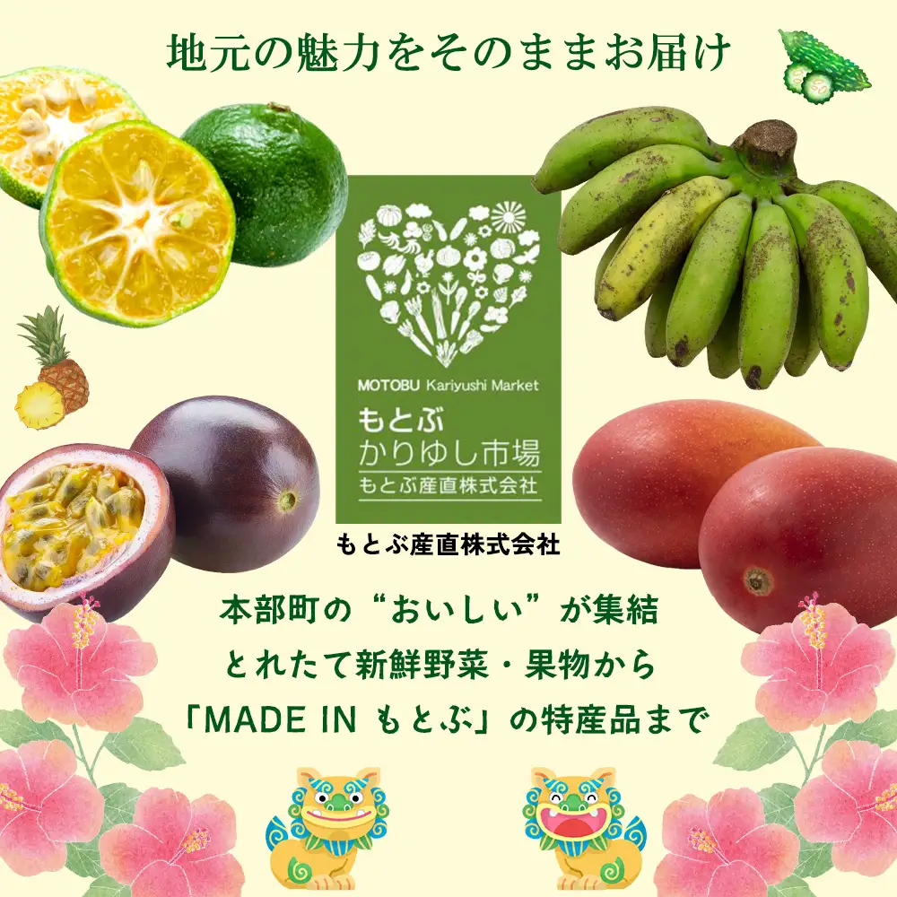 オキナワシークヮーサー100％ 500ml×2本セット