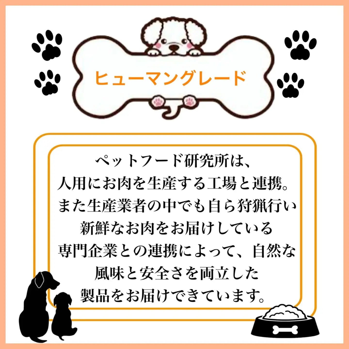 ペットフード研究所 国産無添加 猪肉ジャーキー200g×6回定期便【087B-107】