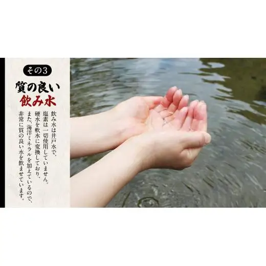 【12ヵ月 連続 定期便】王様の卵 ヨード入 20個 (15個+割れ保障5個 ) 計240個