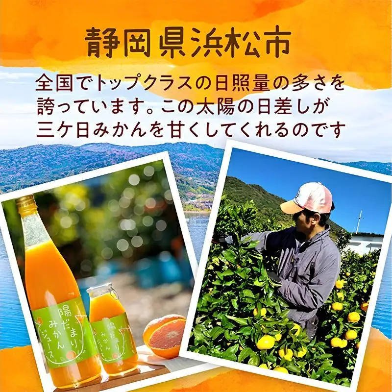 陽だまりファーム 三ヶ日青島みかんジュース ストレート100％ 720ml 2本 青島みかん 静岡 浜松市