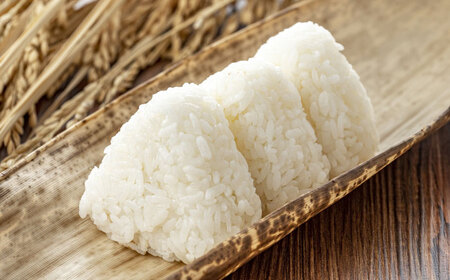 【無洗米】夢つくし 《真空パック》10kg（1kg×10本）福岡県産 白米 精米 ご飯 小分け [ABDD069]