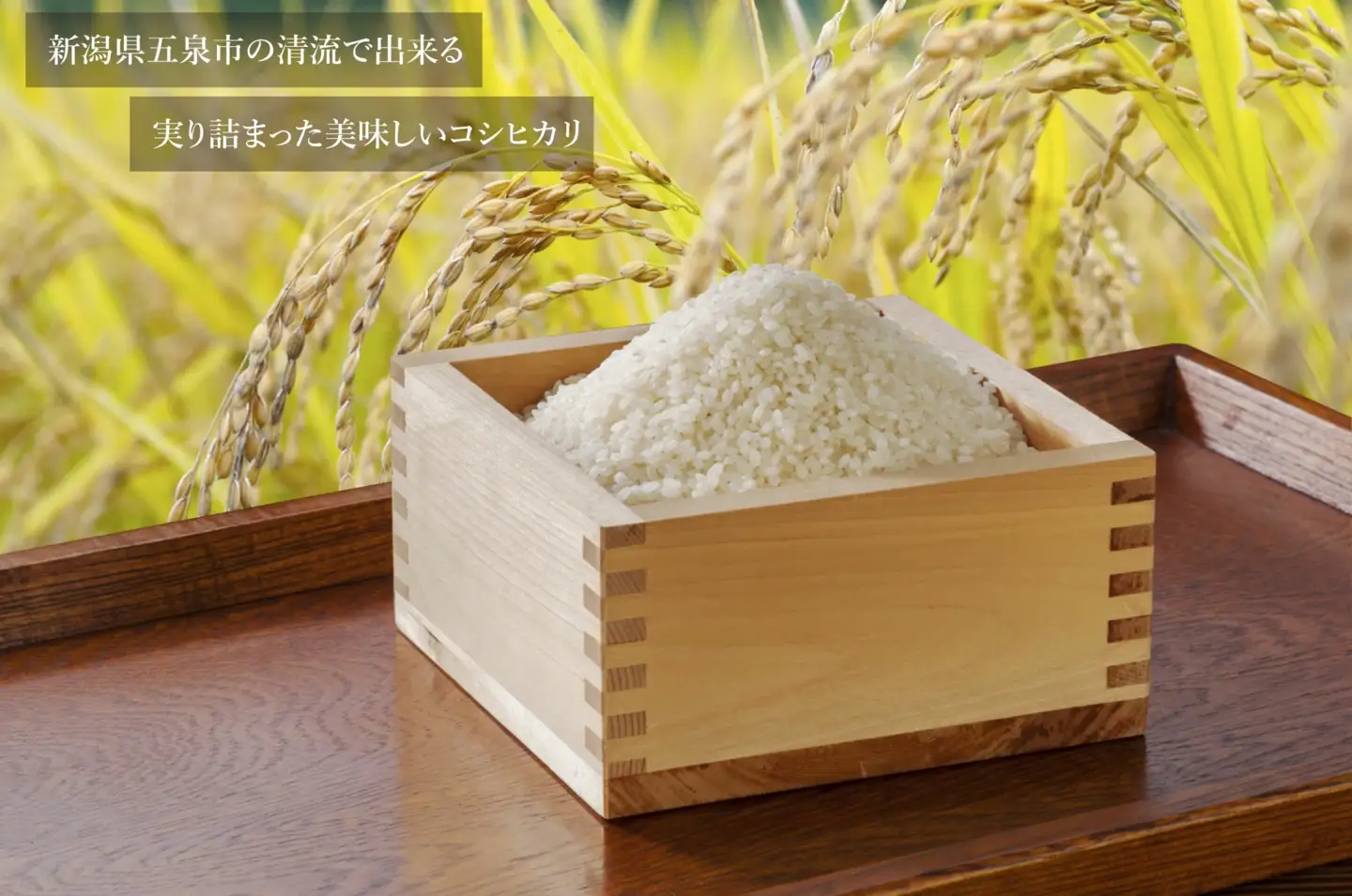 老舗割烹仕込みの釜飯4個セット（きのこ・山菜・あさり・栗）松の家 | 釜めし 新潟県 五泉市