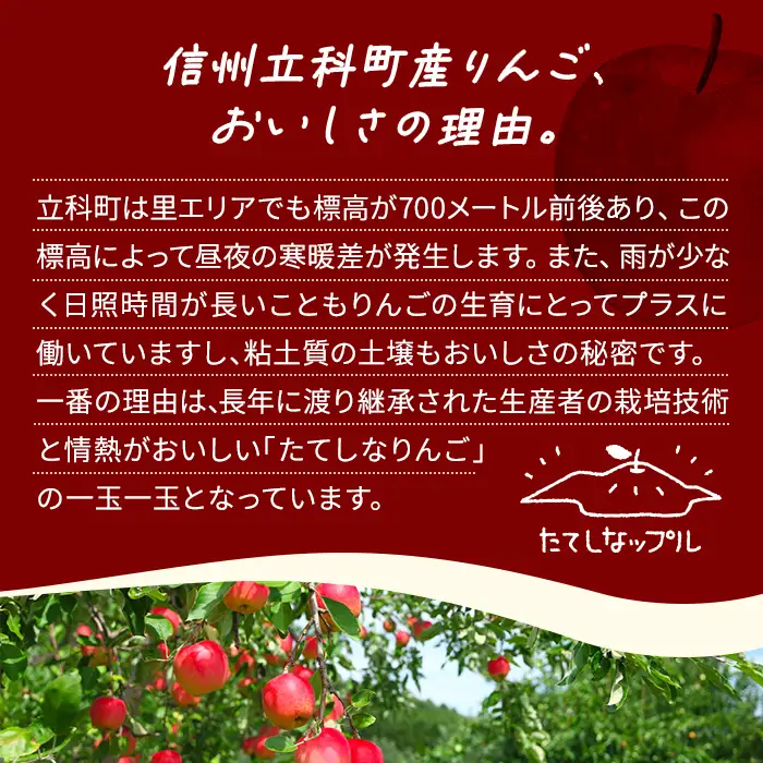 立科町産りんごを使用した　アップルクグロフ 