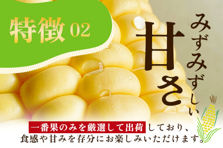 【数量限定】多良木町産 スイートコーン 約 2kg (6～7本) 5月上旬～順次配送 ゴールドラッシュ 一番果 甘い トウモロコシ 旬の味覚 産地直送 コーン とうもろこし 熊本県 089-0690