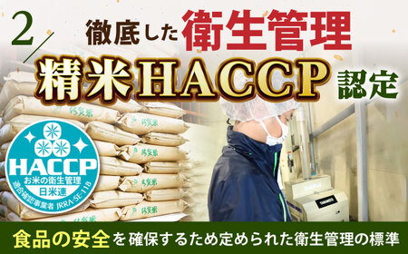 さがびより・夢しずく 無洗米 食べ比べ 各2kg[HCU045] 米