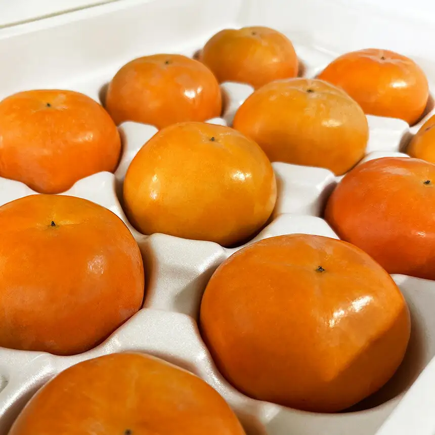 富有柿 L 14個セット 化粧箱 1段 | 果物 産地直送 国産 自宅用 ギフト 種有り 奈良県 五條市