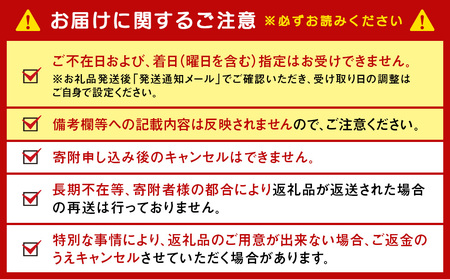 チョコレート ロイヤルモンターニュ 3箱 セット【ルタオ】