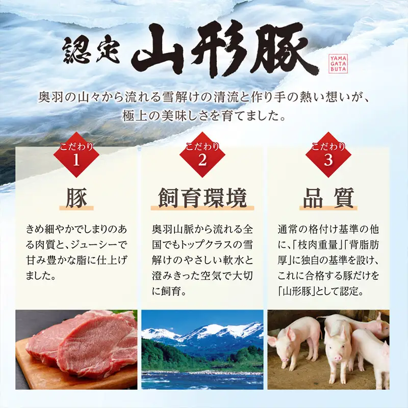  【訳あり】 頑固煮(山形豚の角煮) 切り落とし 120g×2 不揃い 数量限定 お試しサイズ  FY24-548