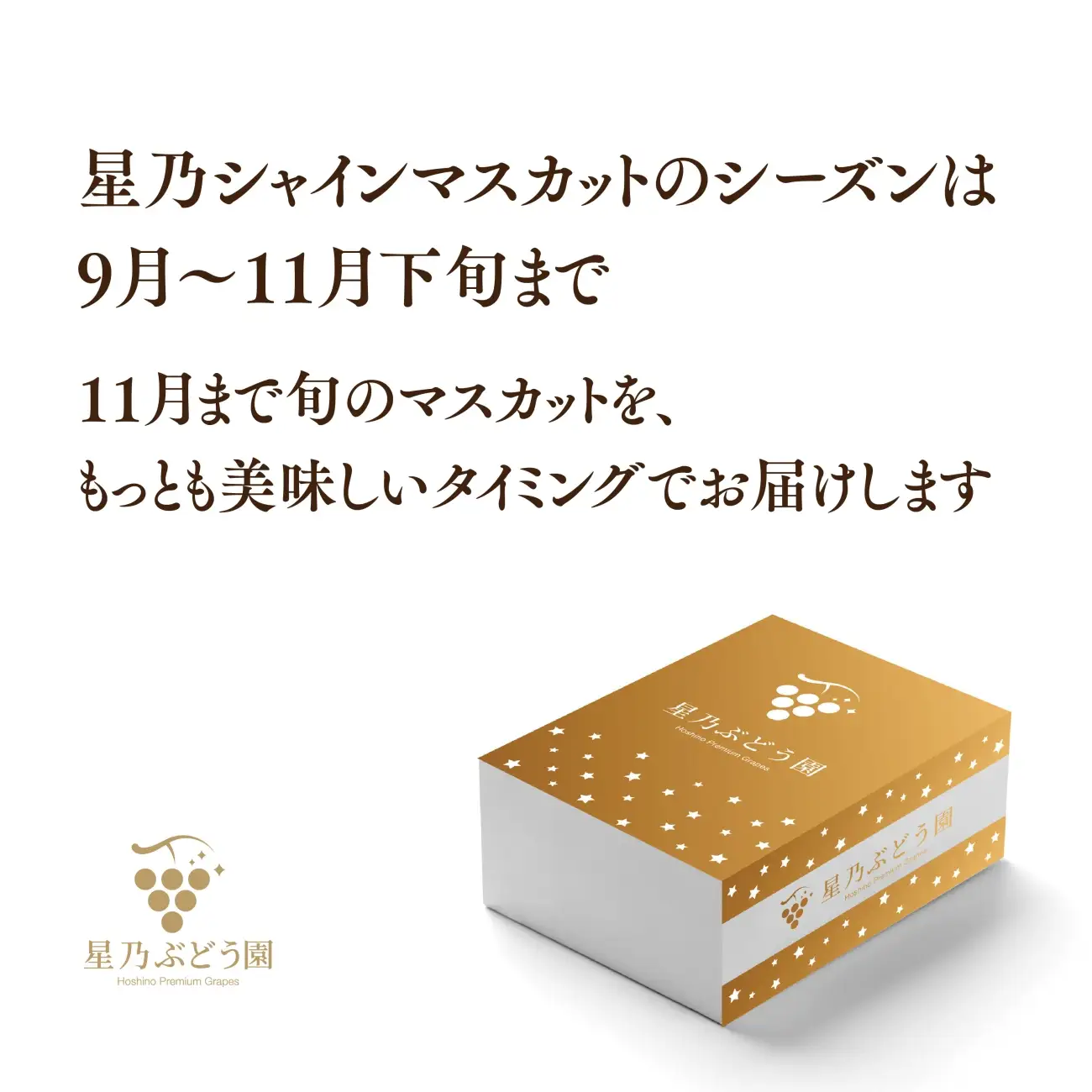 【三つ星ブランド】星乃シャインマスカット プレミアムクラス(岡山県産) 1房×850g以上【配送不可地域：離島・北海道・沖縄県】【1418920】