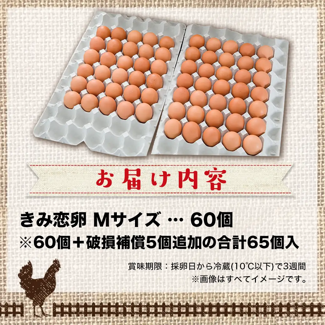 新鮮赤卵「きみ恋卵」60個〔11-29-011-60〕_(都城市) 赤玉子 Mサイズ 60個 きみ恋卵 冷蔵 チルド 赤たまご 河中農園 取れたて新鮮たまご タマゴ たまご 鶏卵 お菓子作りにも最適