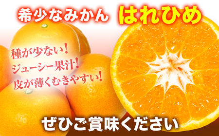 【先行予約】みかん はれひめ 約 5kg 25玉 ～ 30玉 紀農人株式会社