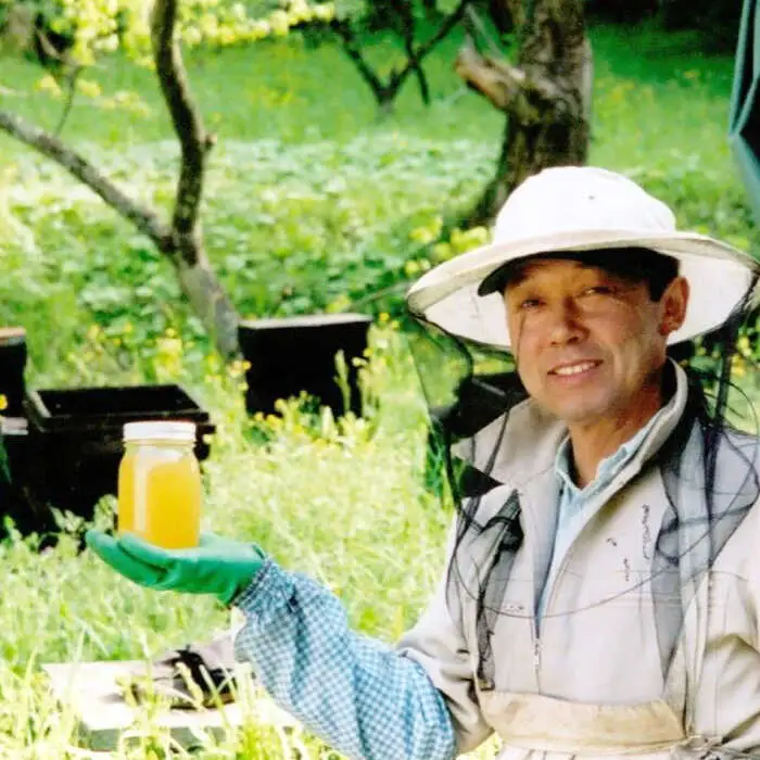 はちみつ 森の蜂蜜セット[APAE004] はちみつ
