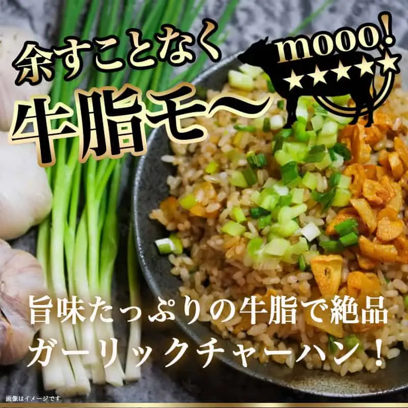 宮崎牛赤身切り落とし500g〔AA-8908〕_(都城市) 国産黒毛和牛 ブランド牛 牛肉 宮崎牛切落とし 500グラムパック 肉じゃが すきやき 牛丼や炒め物などに 万能 冷凍 国産 九州産 宮崎県産 都城産