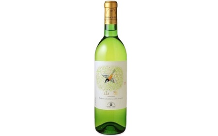 丹波ワイン 白ワイン 飲み比べ 4本セット  [026SJ001]