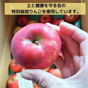 ノンシュガー 特別栽培りんごのヘルシーシュトーレン【卵・乳製品・小麦・砂糖不使用】グルテンフリー シュトーレン OSK003