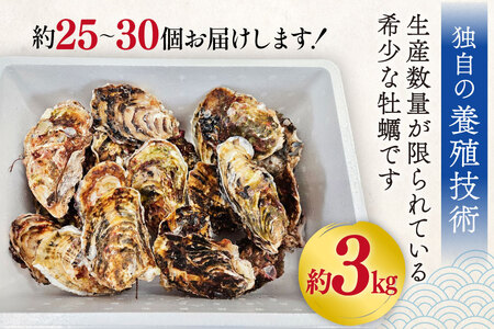 【期間限定発送】 牡蠣 小粒 1～1年半モノ 生食 殻付き牡蠣 約3kg 