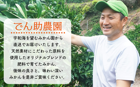 ＜果汁100％ でん助みかんジュース 720ml×3本セット＞ ストレートジュース ドリンク オレンジジュース ミカン 蜜柑 果物 くだもの フルーツ 柑橘 温州みかん 愛媛県 西予市【常温】『1か月以内に順次出荷』MDN0016