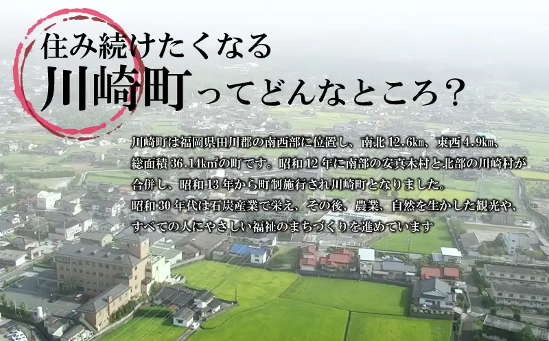元気つくし 精米 10kg | 米 DEI