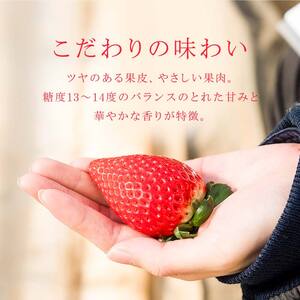 【先行予約】香りが強い！福島県オリジナル品種「ふくはる香」 約400g～500g（12粒～15粒） いちご イチゴ 苺 福島県 鏡石町 鏡石農遊園 F6Q-525