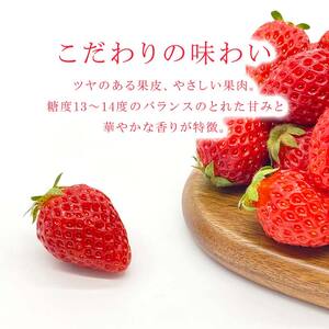 【先行予約】香りが強い！福島県オリジナル品種「ふくはる香」小粒 バラ詰め 約1.5kg（約750g×2パック） いちご イチゴ 苺 福島県 鏡石町 鏡石農遊園 F6Q-530
