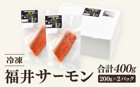 極旨！福井サーモン 計400g（200g × 2パック）【サーモン 鮭 刺身 さけ サケ さかな 魚 人気 海鮮 海鮮食品 小分け お刺身用 生食用 生食可 低脂肪 低カロリー ヘルシー 冷凍 国産】 [A-5830]