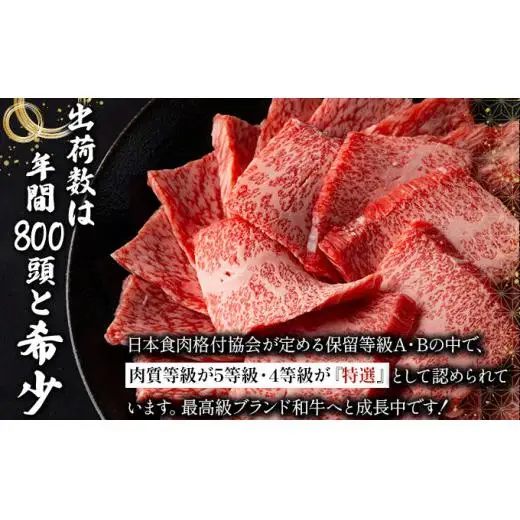 牛スジ500g×2パック 　 IM-20