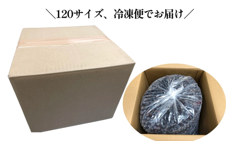 ブルーベリー 訳あり 冷凍 10kg フルーツ ベリー 果物