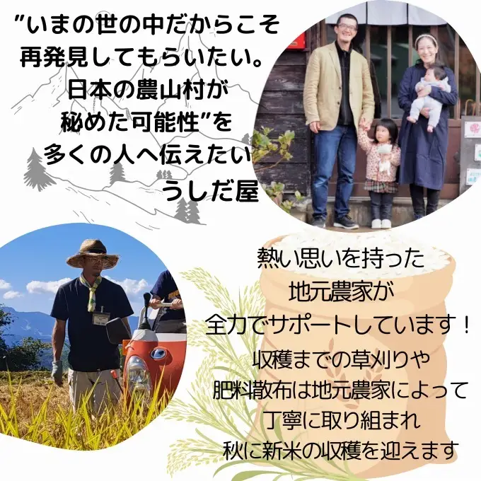 大島区 棚田オーナー権 コシヒカリ60kg付き 棚田オーナー権