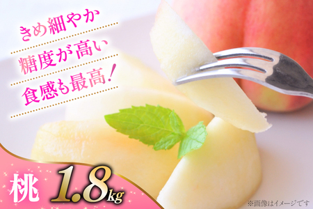 【先行受付 定期便】 季節の果物 3回 桃 1.8kg 巨峰 1kg シャインマスカット 1kg NS-1015