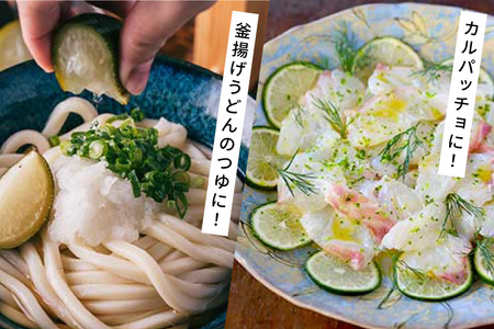 へべす 100% 果汁 2本 醤油 1本 計3本 セット